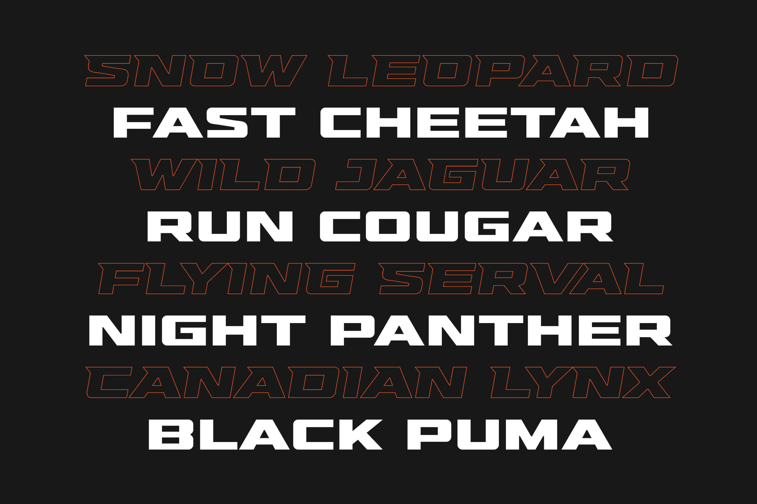 Hunterra Expanded - Sports Branding Font - Image 2