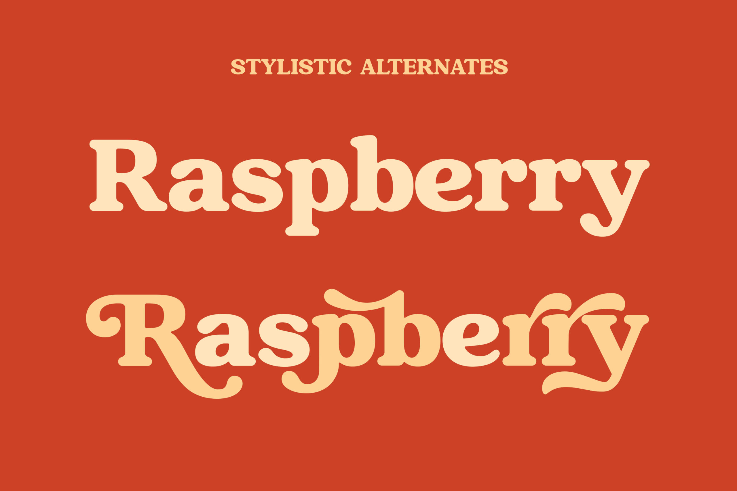 Raspberie - Retro Modern Serif - Image 9