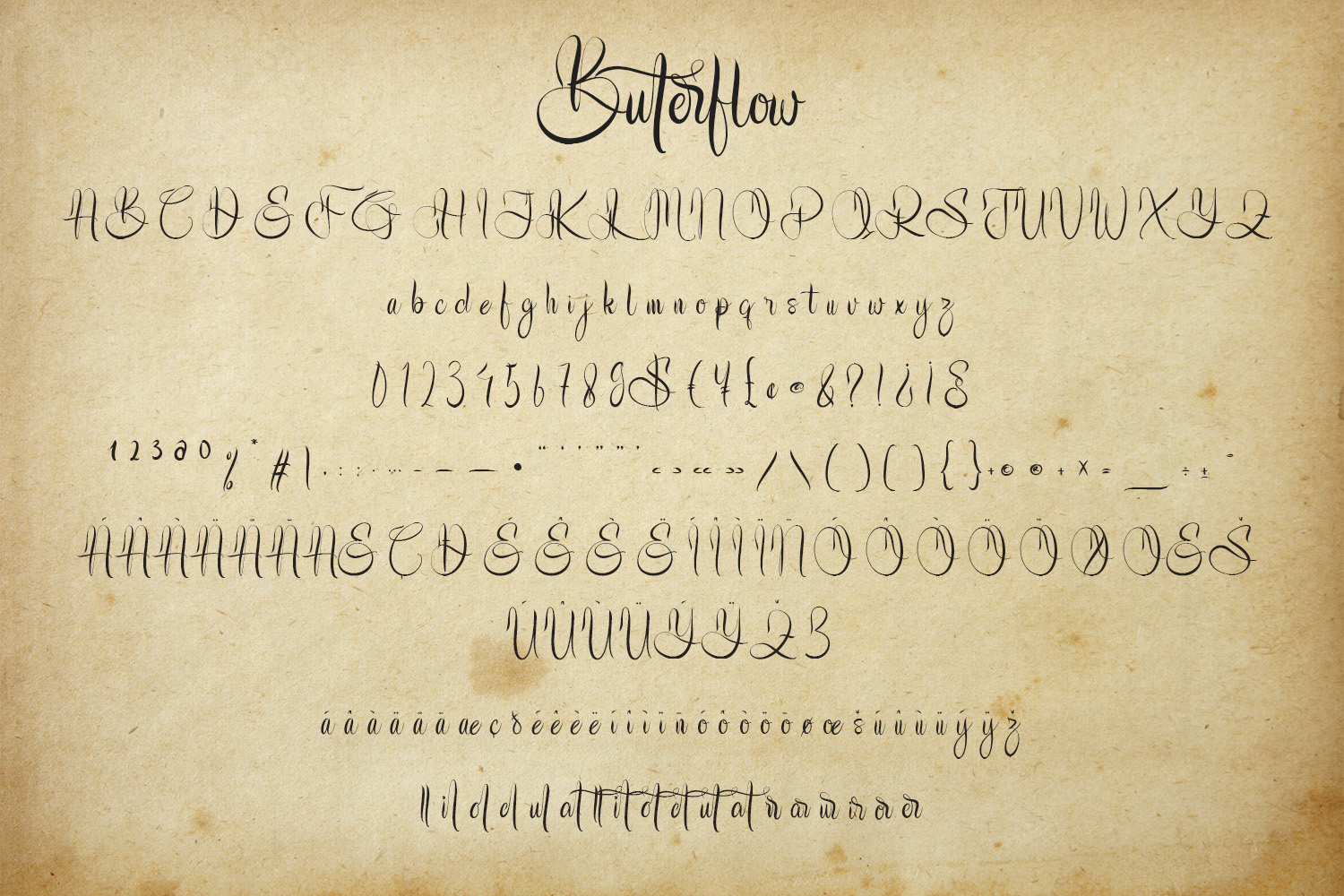Buterflow - Historical Script Font - Image 9