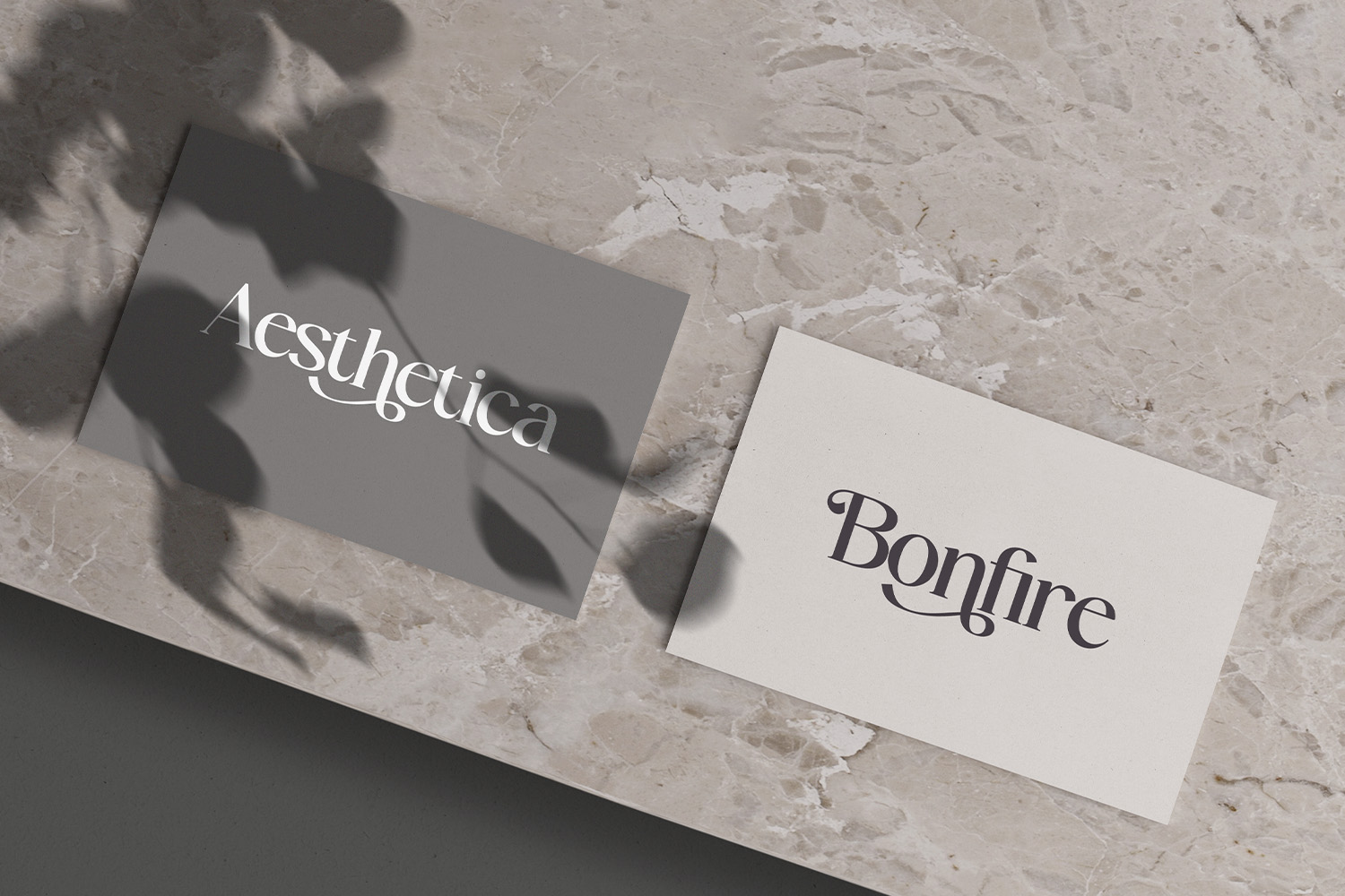 Melaney - Aesthetic Branding Serif - Image 8