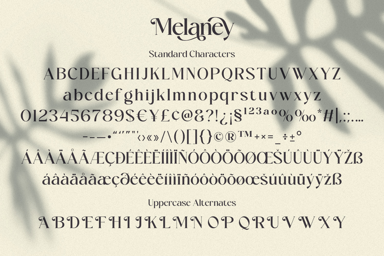 Melaney - Aesthetic Branding Serif - Image 10
