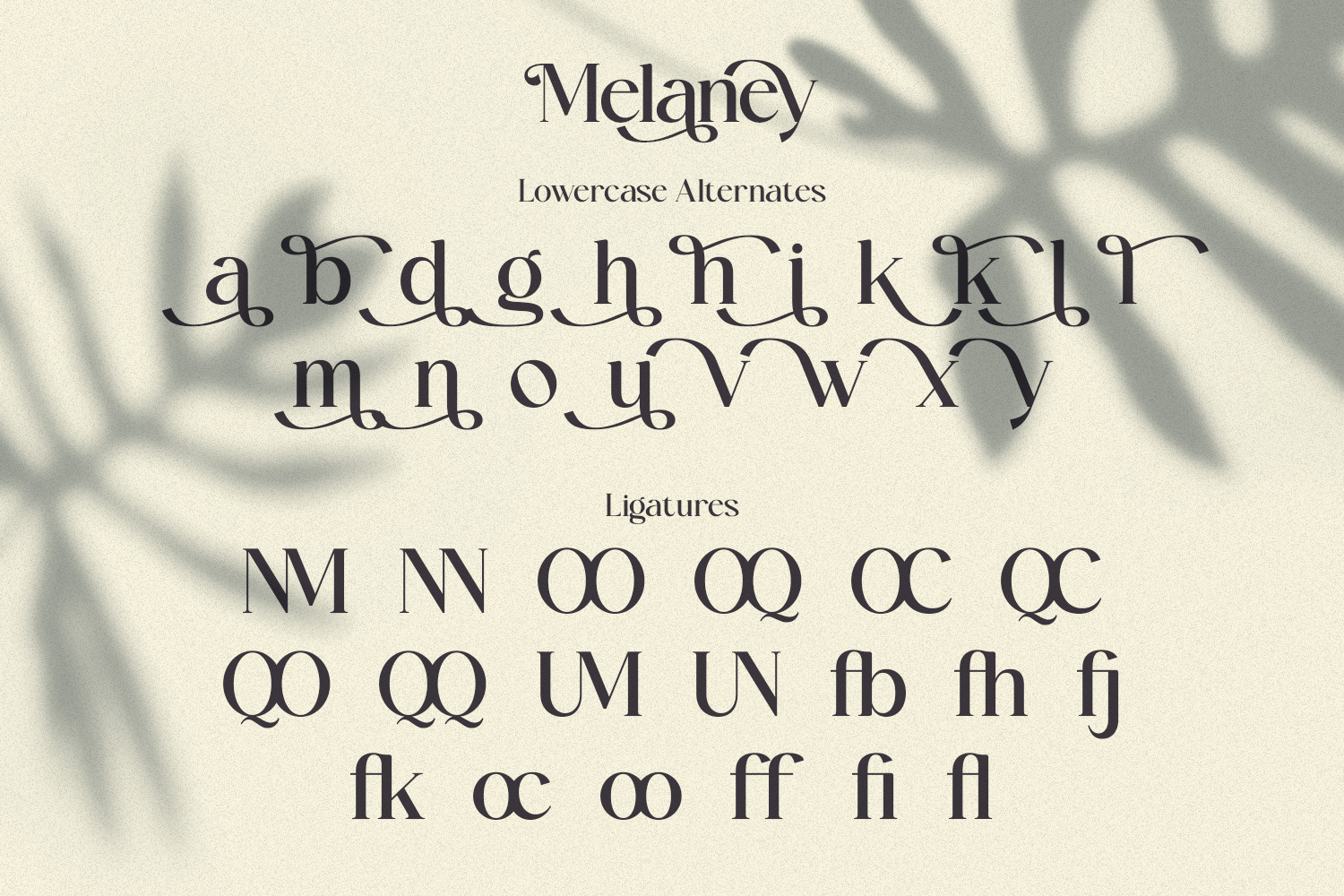 Melaney - Aesthetic Branding Serif - Image 9