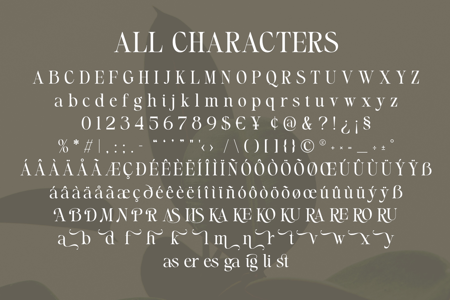 Astrel Madesly - Artistic Display Serif - Image 10